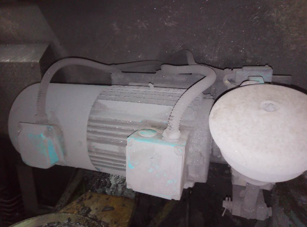 YF鋼鐵煉鋼雙軸制動電機(jī)